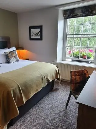 Standard Tek Büyük Yataklı Oda, Banyolu/Duşlu (King Size Standard)