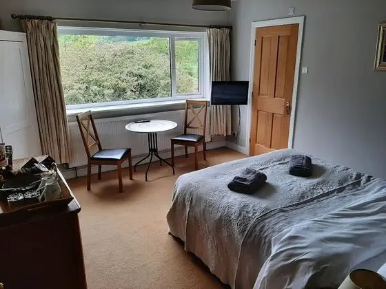 Tek Büyük Yataklı Oda, Banyolu/Duşlu, Dağ Manzaralı