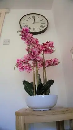 Standard Kır Evi, 1 Yatak Odası
