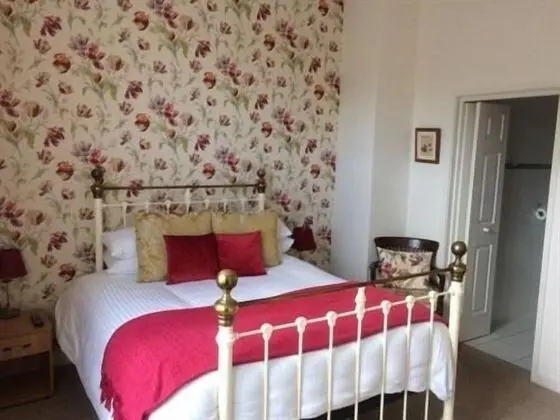 Deluxe Tek Büyük Yataklı Oda, Banyolu/Duşlu, Park Manzaralı