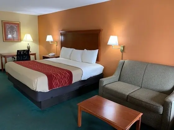 Deluxe Tek Kişilik Oda