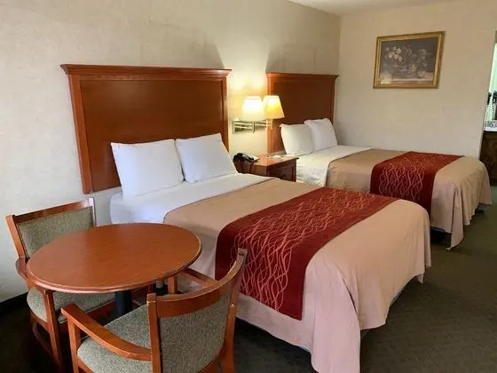 Executive Tek Büyük Yataklı Oda