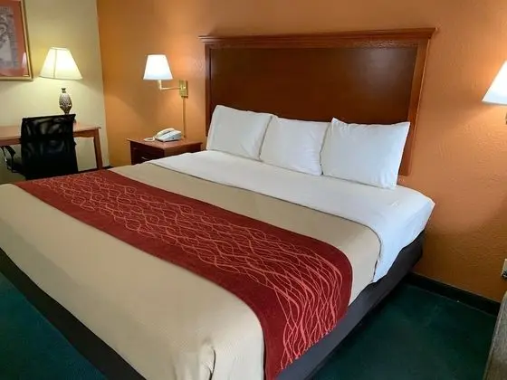 Executive Tek Kişilik Oda