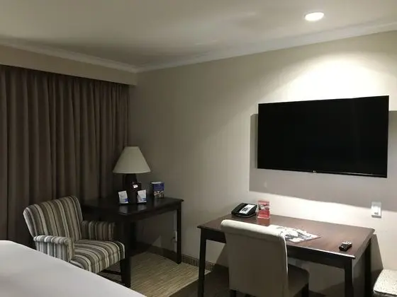 Comfort Süit, 1 En Büyük (King) Boy Yatak