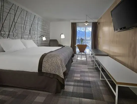 Premium Oda, 1 En Büyük (King) Boy Yatak (Coast Premium King with View)