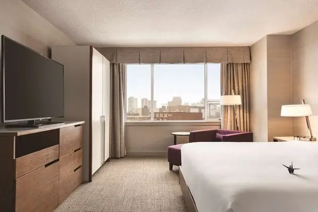 Premium Oda, 1 En Büyük (King) Boy Yatak ve Çekyat (Coast Premium King with Sofa Bed)