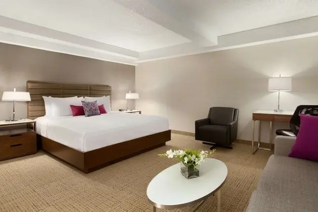 Premium Oda, 1 En Büyük (King) Boy Yatak ve Çekyat (Coast Premium King with Sofa Bed)