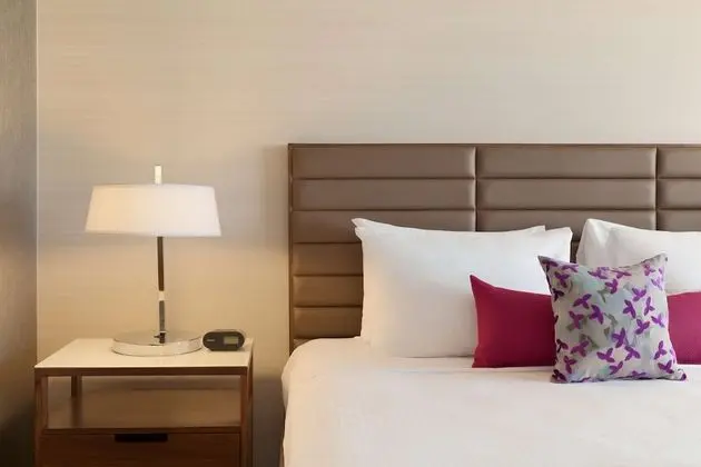 Premium Oda, 1 En Büyük (King) Boy Yatak ve Çekyat (Coast Premium King with Sofa Bed)
