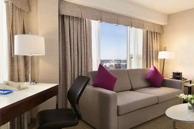 Premium Oda, 1 En Büyük (King) Boy Yatak ve Çekyat (Coast Premium King with Sofa Bed)