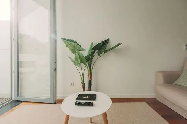 Apart Daire, 1 Yatak Odası (Coast 1)