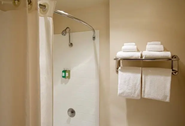 Deluxe Oda, 1 Büyük (Queen) Boy Yatak, Sigara İçilmez, Özel Banyo (Coast Queen)