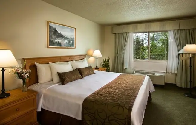 Junior Süit, 1 En Büyük (King) Boy Yatak, Sigara İçilmez (Coast Premium King Junior Suite)