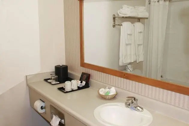 Junior Süit, 1 En Büyük (King) Boy Yatak, Sigara İçilmez (Coast Premium King Junior Suite)