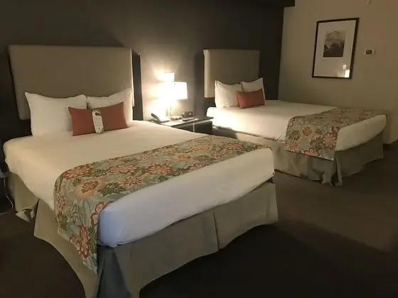 Comfort Oda, Havuz Kenarı (Coast Two Queens, Pool Side)