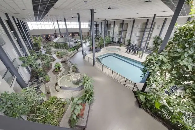 Superior Oda, 1 En Büyük (King) Boy Yatak, Havuz Manzaralı (Coast King with Atrium View)