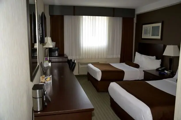Comfort Tek Büyük Yataklı Oda, 2 Çift Kişilik Yatak (Coast Two Doubles)