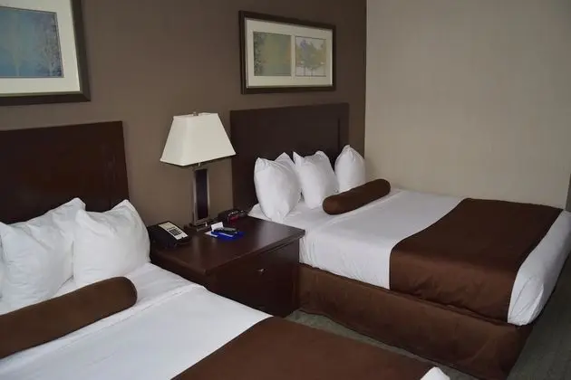 Comfort Tek Büyük Yataklı Oda, 2 Çift Kişilik Yatak (Coast Two Doubles)