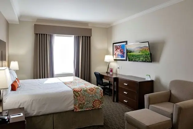 Premium Süit, 1 En Büyük (King) Boy Yatak, Sıcak Su Küveti (Coast Premium King Suite with Jet Tub)