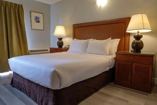 Süit, 1 Büyük (Queen) Boy Yatak (Coast Premium Queen Suite)
