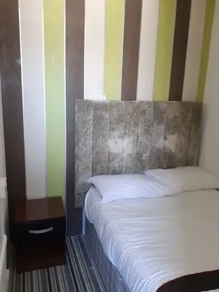 Standard Tek Büyük Yataklı Oda, 1 Çift Kişilik Yatak