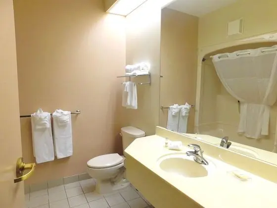 Standard Tek Kişilik Oda, 1 En Büyük (King) Boy Yatak