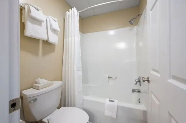 Süit, Şehir Manzaralı (2 Queens/Sofa, No pets allowed)