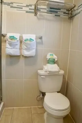 Standard Tek Büyük Yataklı Oda, 2 Çift Kişilik Yatak