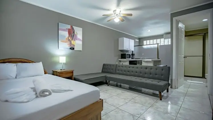 Comfort Stüdyo, 1 Büyük (Queen) Boy Yatak ve Çekyat, Küçük Mutfak, Bahçe Manzaralı