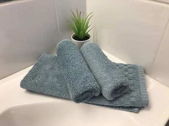 Standard Tek Büyük veya İki Ayrı Yataklı Oda, Sigara İçilmez (Queen Standard Room)