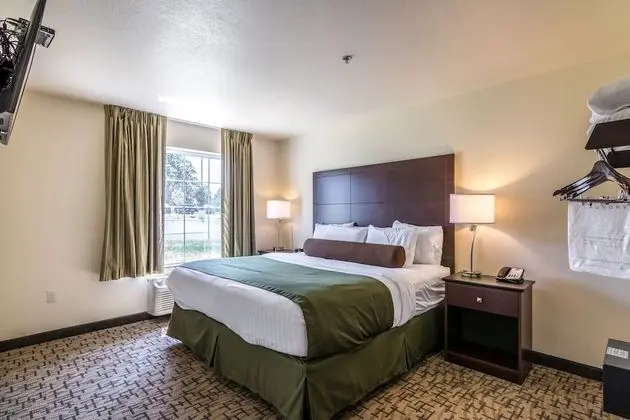 Süit, 1 En Büyük (King) Boy Yatak, Sigara İçilmez (Extended Stay)