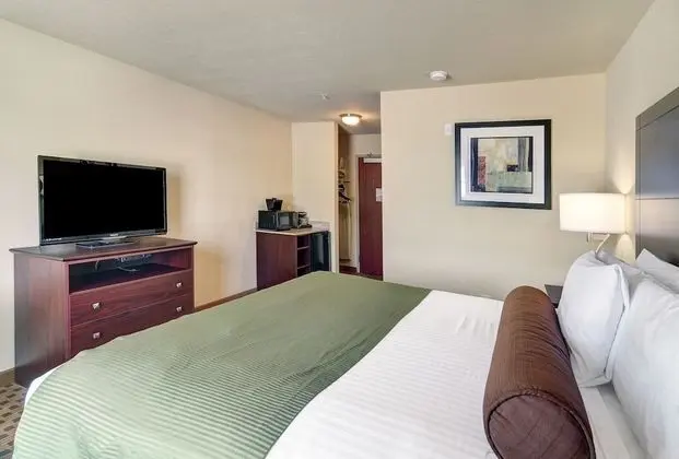 Oda, 1 En Büyük (King) Boy Yatak, Sigara İçilmez (Guestroom)