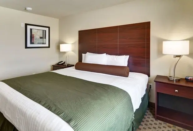 Oda, 1 En Büyük (King) Boy Yatak, Sigara İçilmez (Guestroom)