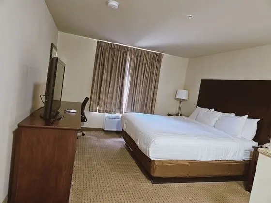 Standard Oda, 1 En Büyük (King) Boy Yatak, Sigara İçilmez