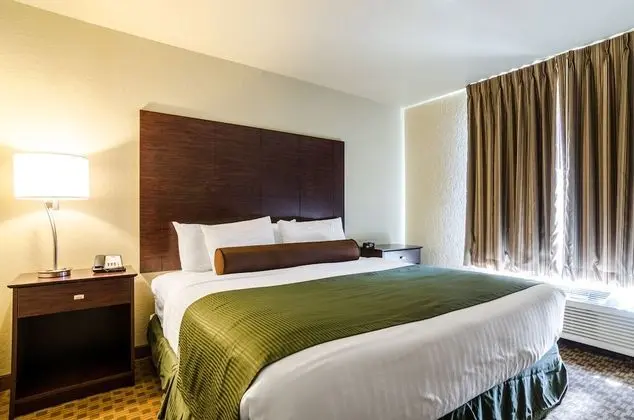Süit, 1 En Büyük (King) Boy Yatak ve Çekyat, Engellilere Uygun, Sigara İçilmez (Extended Stay)