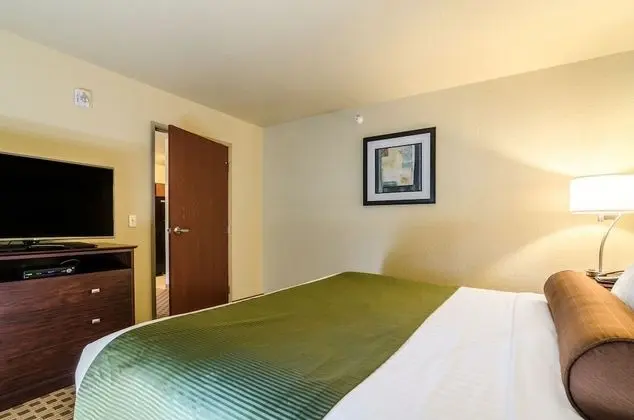 Süit, 1 En Büyük (King) Boy Yatak ve Çekyat, Engellilere Uygun, Sigara İçilmez (Extended Stay)