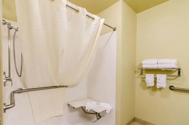 Süit, 1 En Büyük (King) Boy Yatak ve Çekyat, Engellilere Uygun, Sigara İçilmez (Extended Stay)
