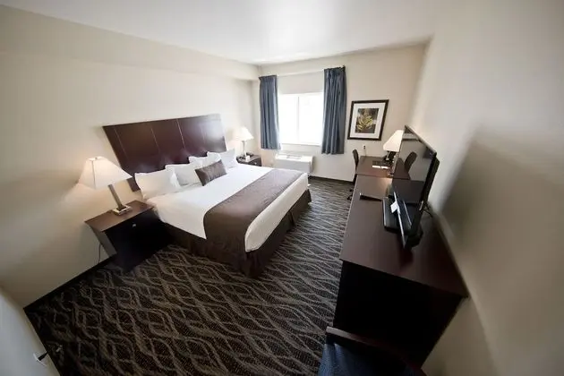 Oda, 1 En Büyük (King) Boy Yatak, Engellilere Uygun, Sigara İçilmez (Shower)