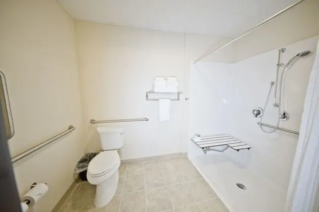 Oda, 1 En Büyük (King) Boy Yatak, Engellilere Uygun, Sigara İçilmez (Shower)