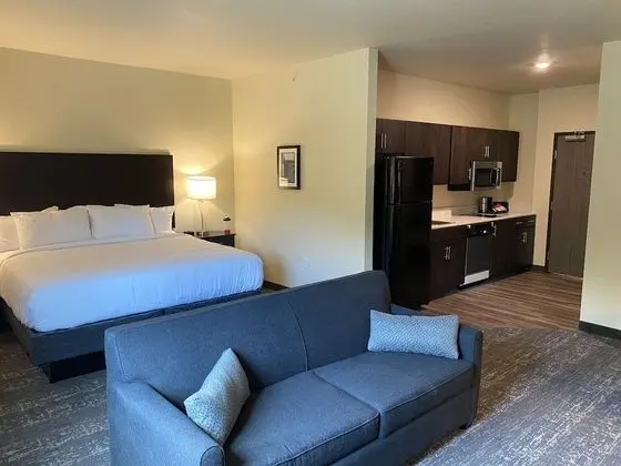 Single King Suite, Non-Smoking