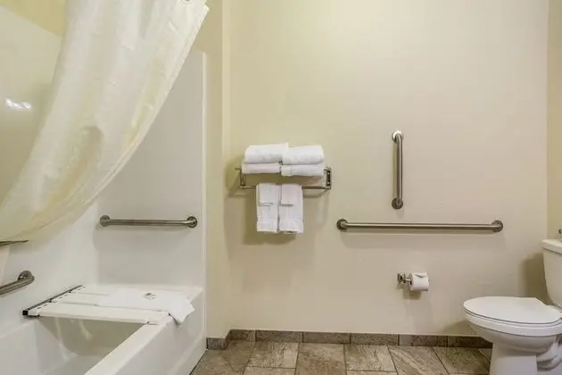 Oda, 1 En Büyük (King) Boy Yatak, Engellilere Uygun, Sigara İçilmez (Mobility, Bathtub,Bench Seat)