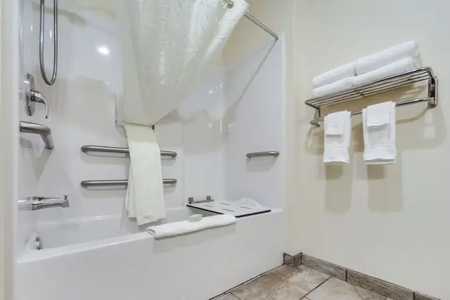 Oda, 1 En Büyük (King) Boy Yatak, Engellilere Uygun, Sigara İçilmez (Mobility, Bathtub,Bench Seat)