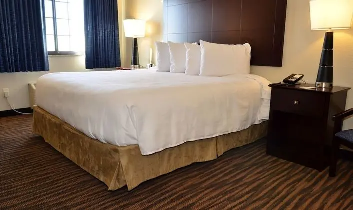 Stüdyo, 1 En Büyük (King) Boy Yatak, Sigara İçilmez