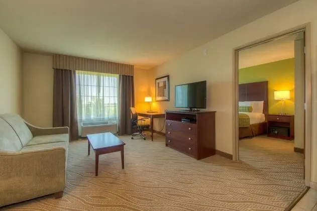 Süit, 1 En Büyük (King) Boy Yatak ve Çekyat, Sigara İçilmez (with Sofa Bed, Accessible Benched Tub)