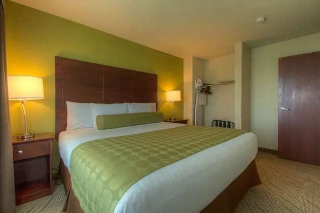 Süit, 1 En Büyük (King) Boy Yatak ve Çekyat, Sigara İçilmez (with Sofa Bed, Accessible Benched Tub)
