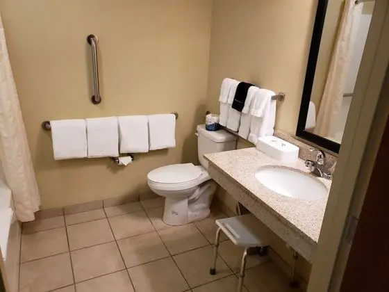 Süit, 1 En Büyük (King) Boy Yatak ve Çekyat, Sigara İçilmez (with Sofa Bed, Accessible Benched Tub)