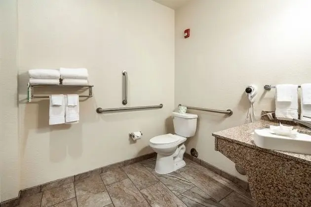 Süit, 1 En Büyük (King) Boy Yatak ve Çekyat, Engellilere Uygun (Extended Stay, Roll-in Shower)