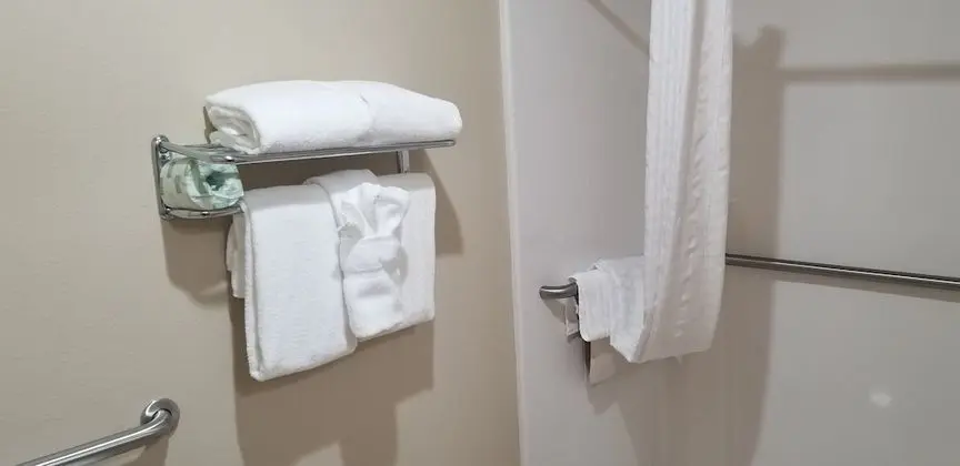 Oda, 1 En Büyük (King) Boy Yatak, Engellilere Uygun (Roll-in Shower)