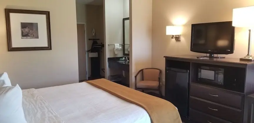 Oda, 1 En Büyük (King) Boy Yatak, Engellilere Uygun (with Shower Seat)