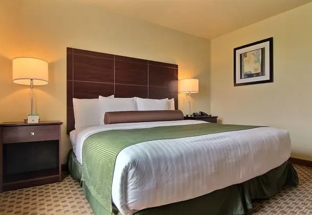 Room, 1 King Bed, Accessible Roll in Shower, Non Smoking