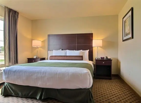 Room, 1 King Bed, Accessible Roll in Shower, Non Smoking